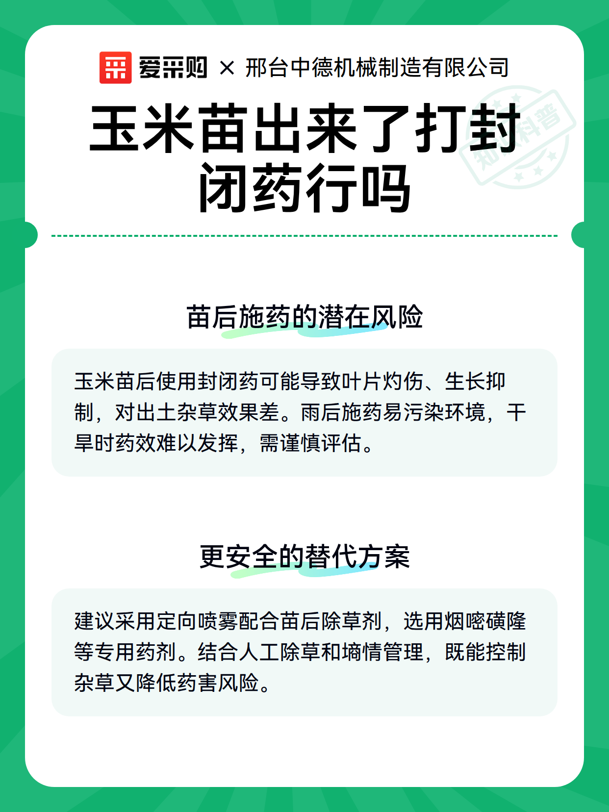 玉米苗出来了打封闭药行吗（图3）