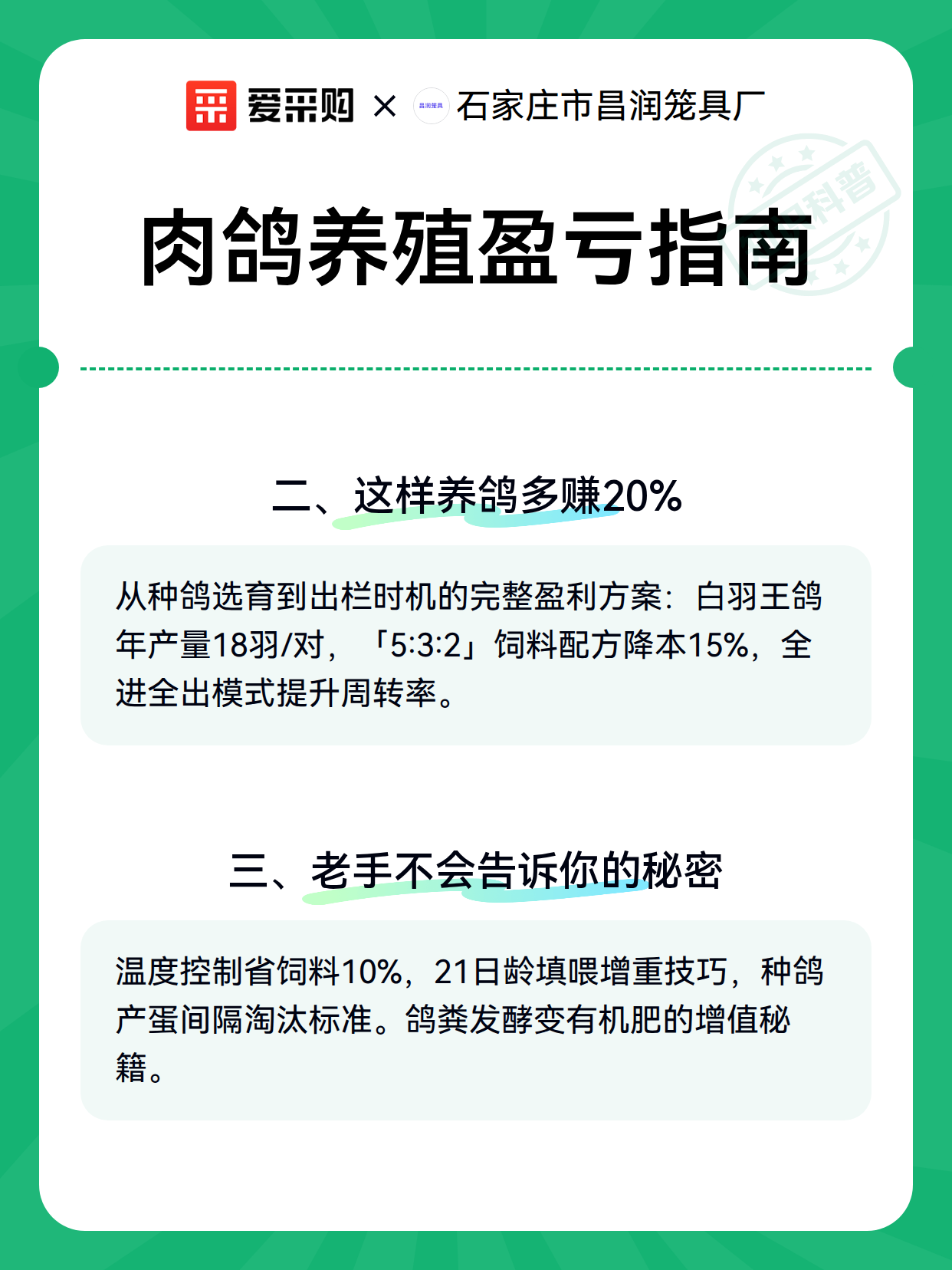 肉鸽养殖盈亏指南（图2）