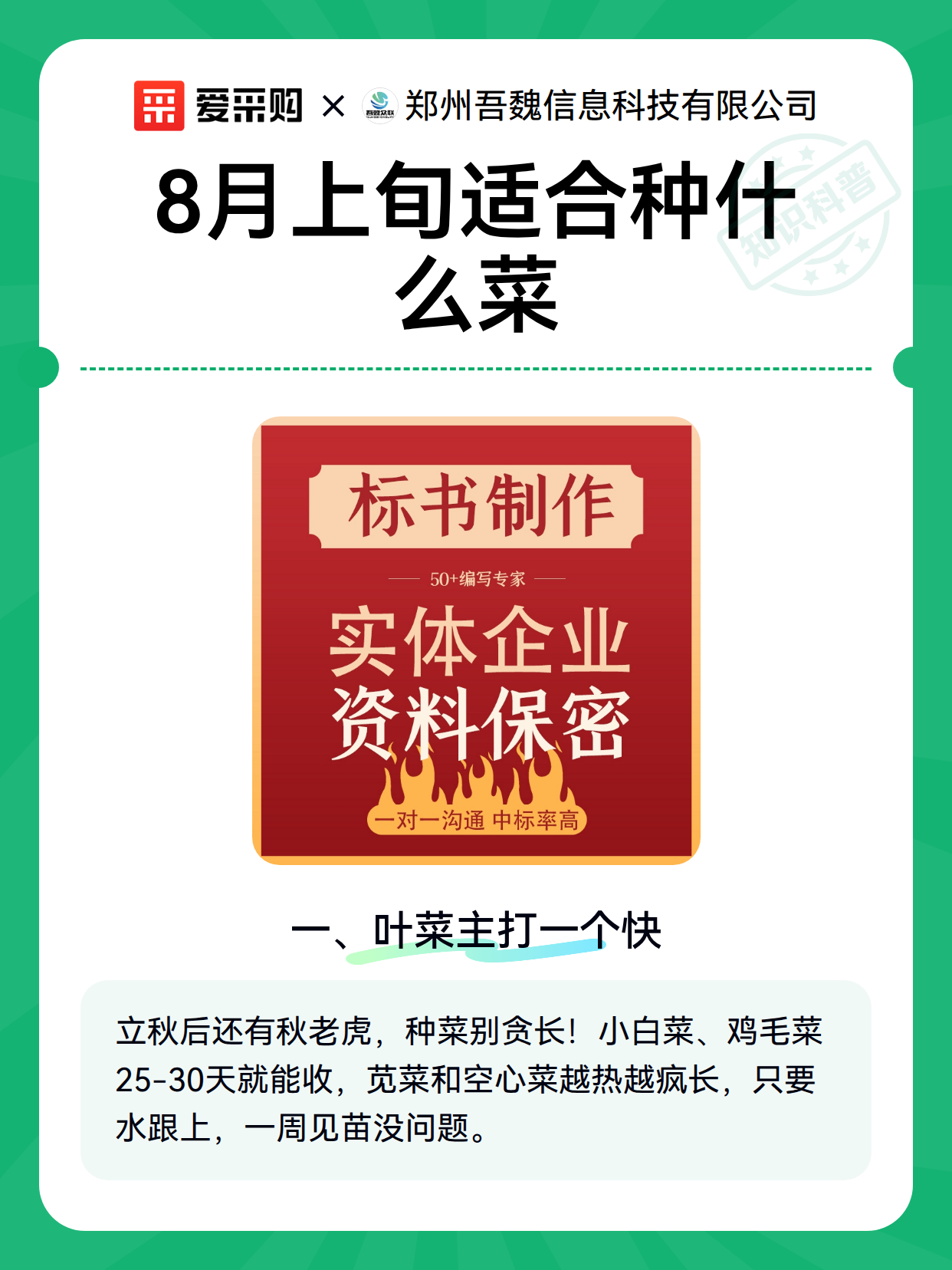 8月上旬适合种什么菜（图2）