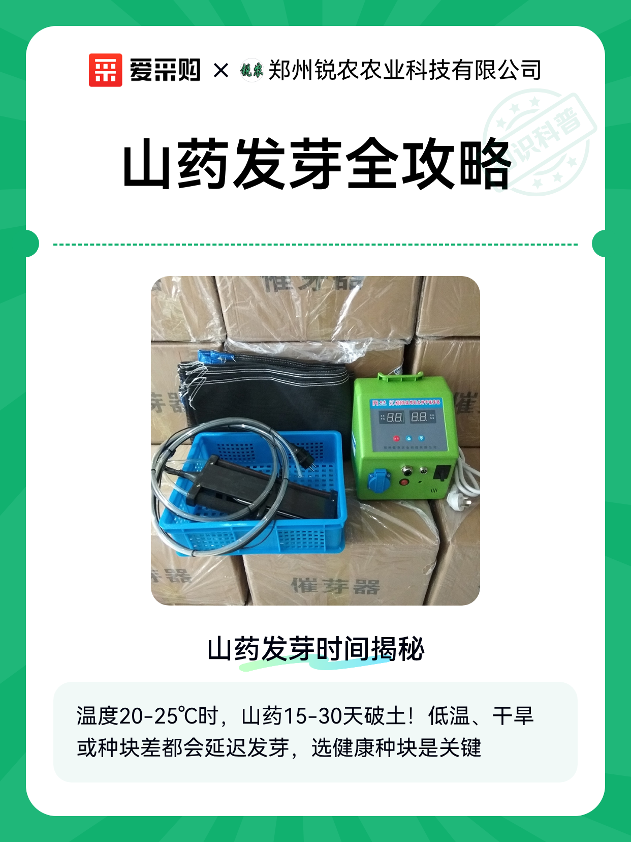 山药发芽全攻略（图1）