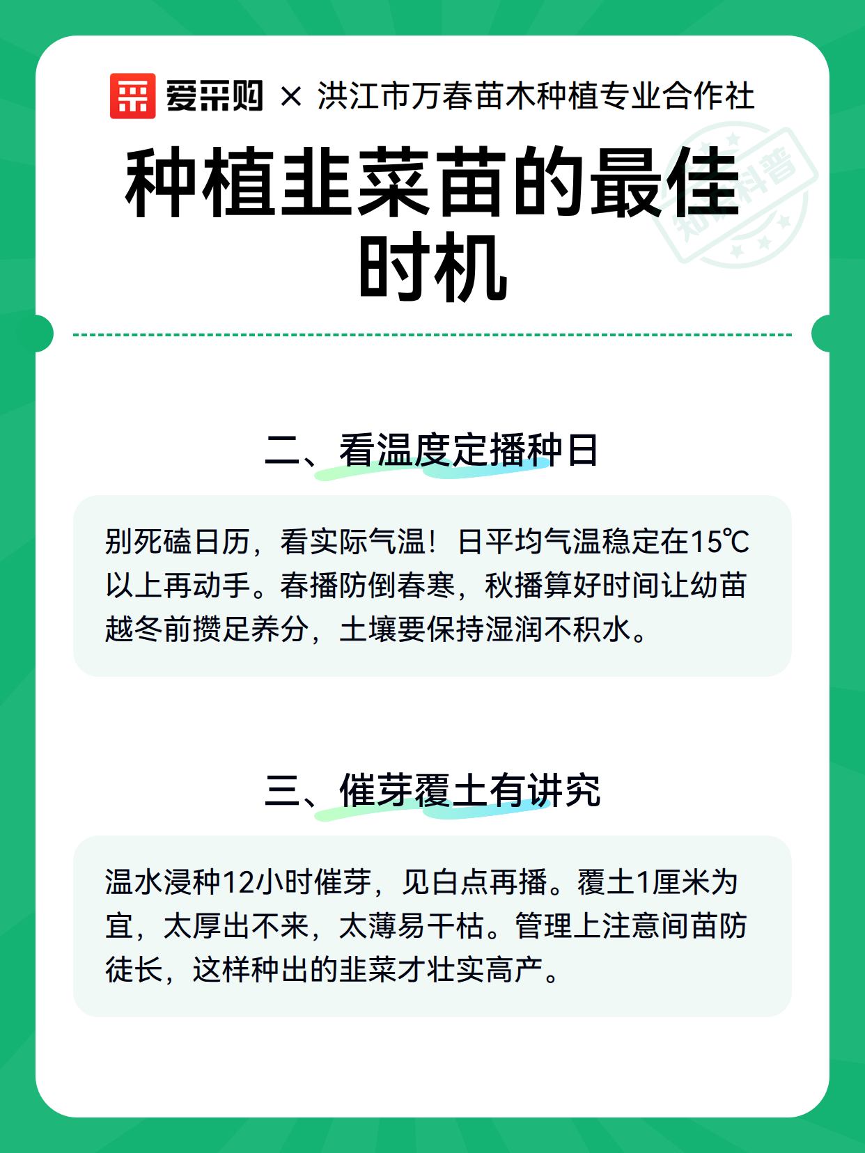 种植韭菜苗的最佳时机（图3）