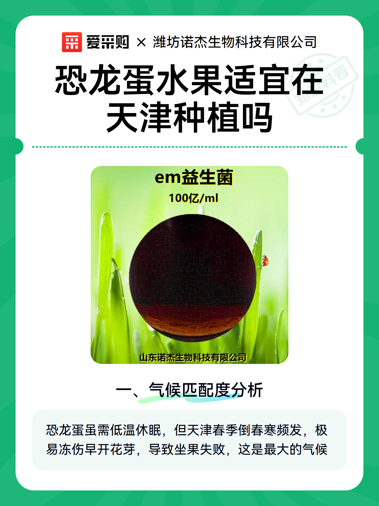 恐龙蛋水果适宜在天津种植吗（图2）