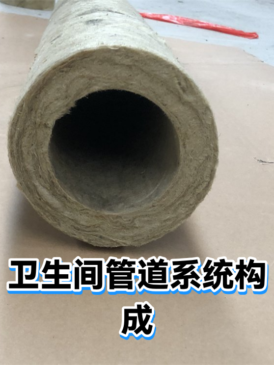 卫生间管道系统构成（图1）
