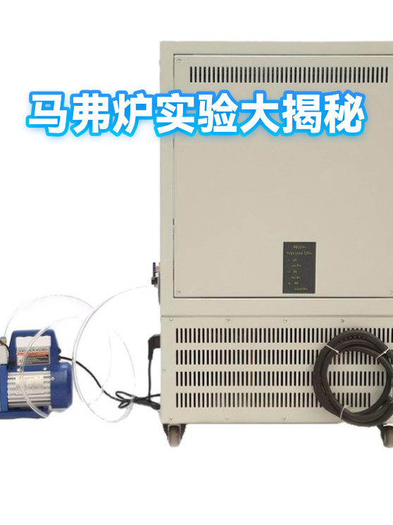 马弗炉实验大揭秘（图1）