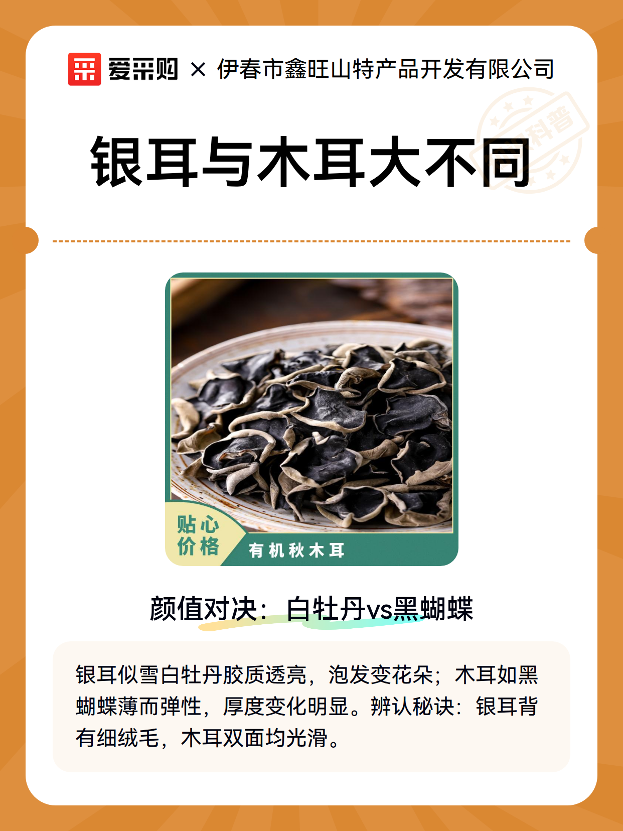 银耳与木耳大不同（图2）