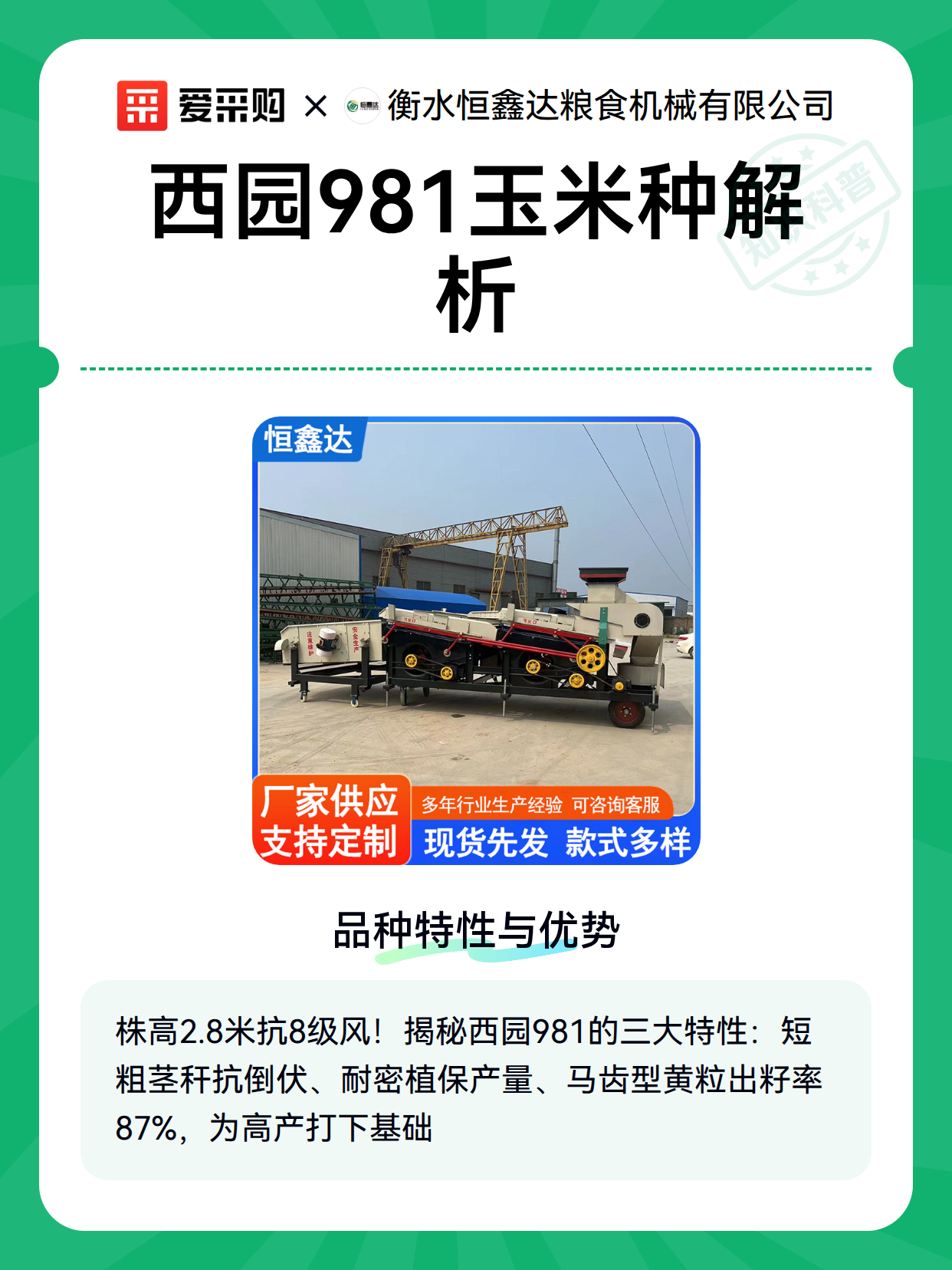 西园981玉米品种的田间参数与种植规格对照（图2）