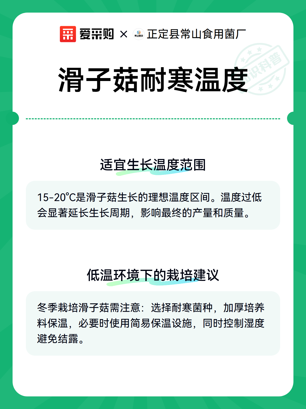 滑子菇耐寒温度（图2）