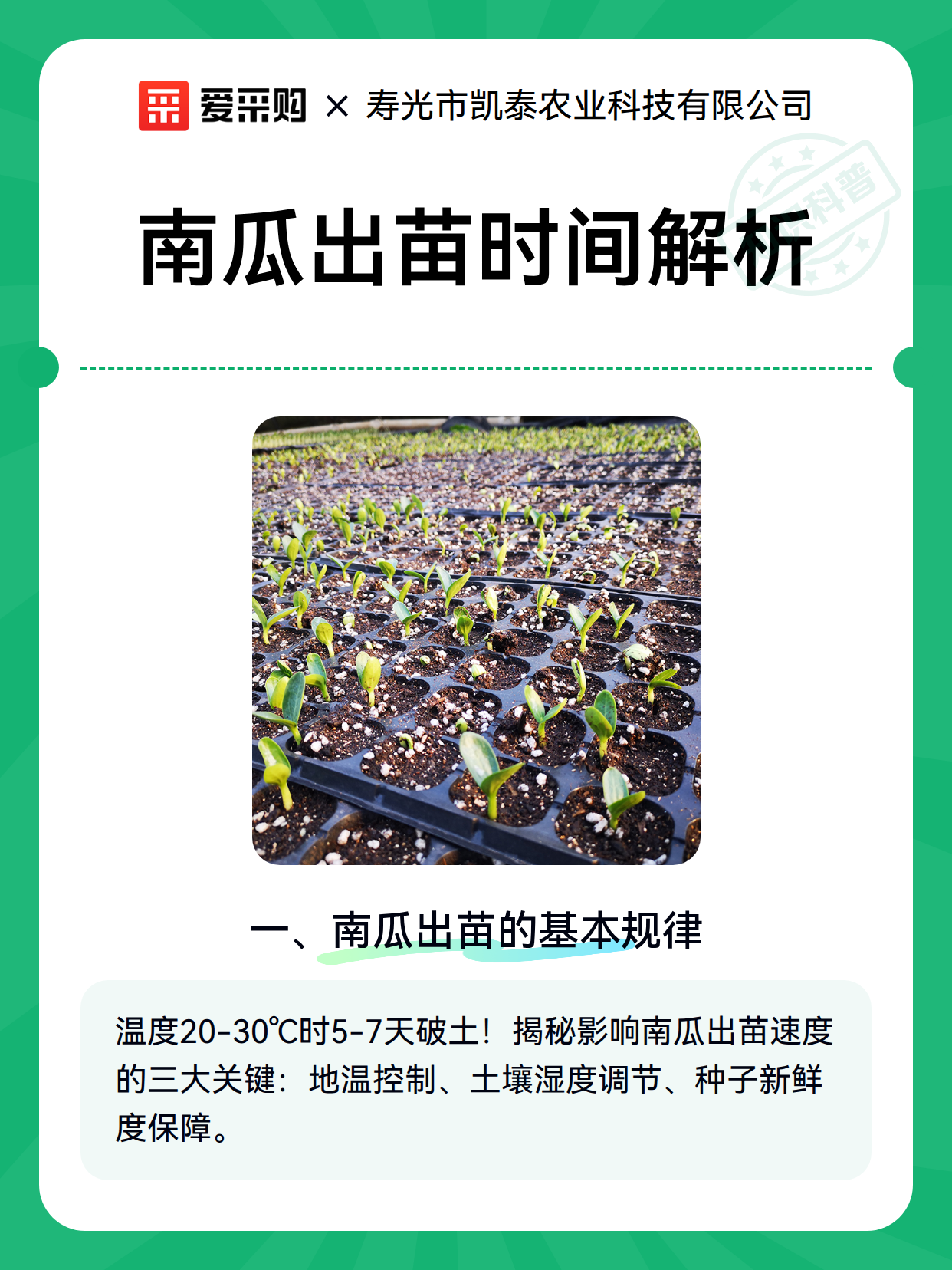 南瓜出苗时间解析（图2）