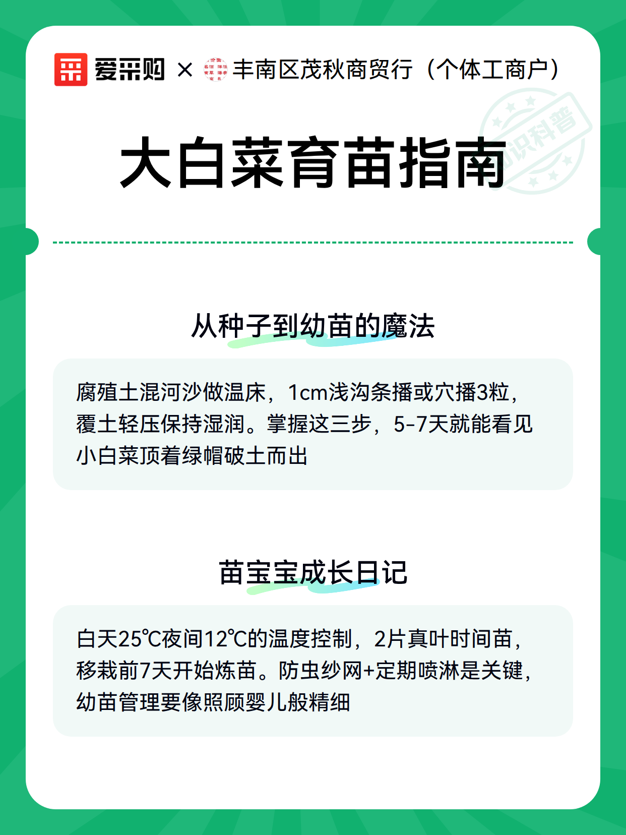 大白菜育苗指南（图3）
