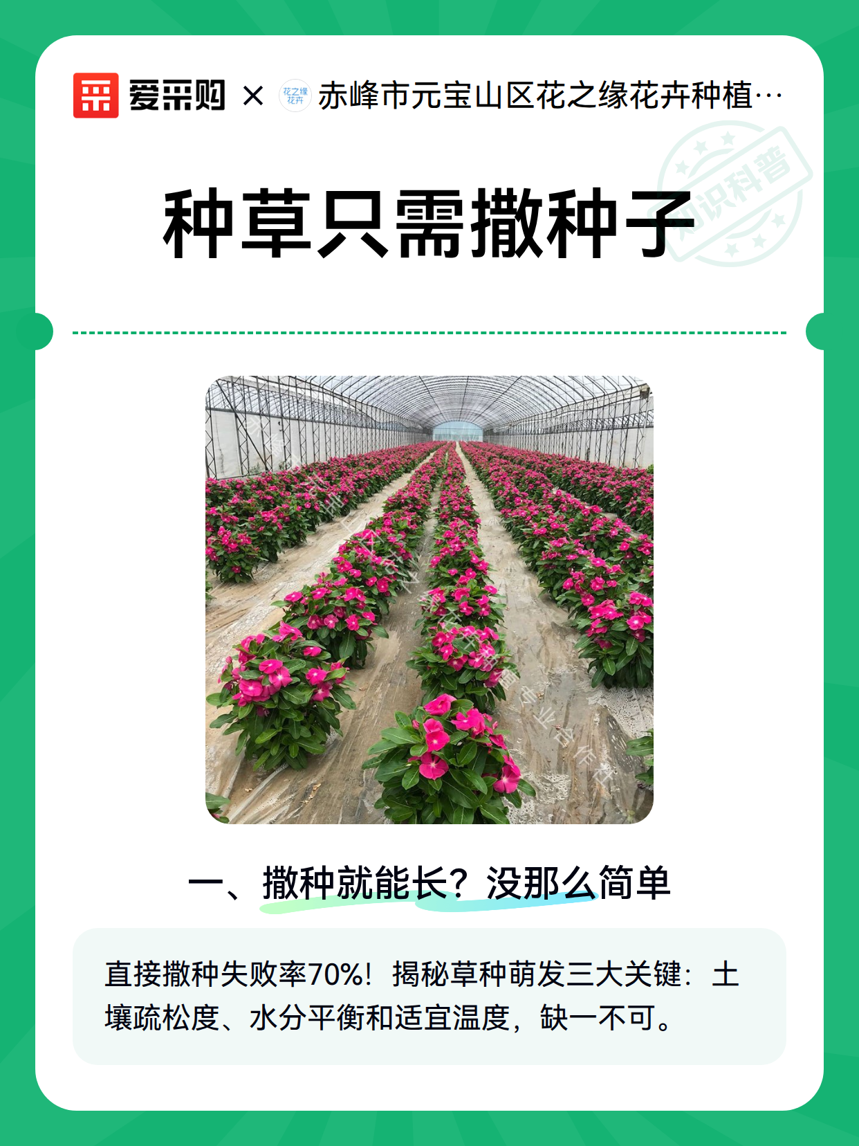 种草只需撒种子（图2）