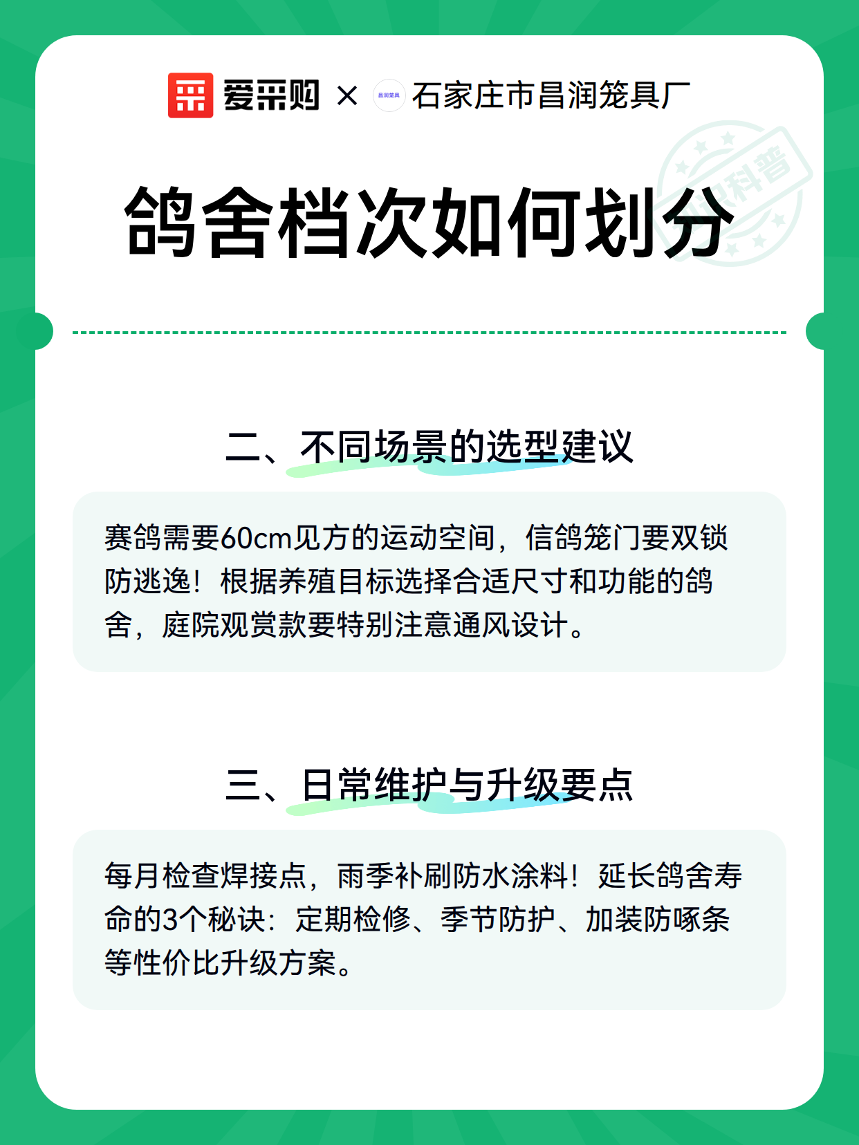 鸽舍档次如何划分（图2）