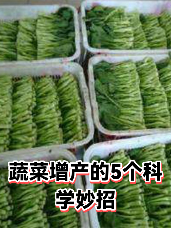 蔬菜增产的5个科学妙招（图1）
