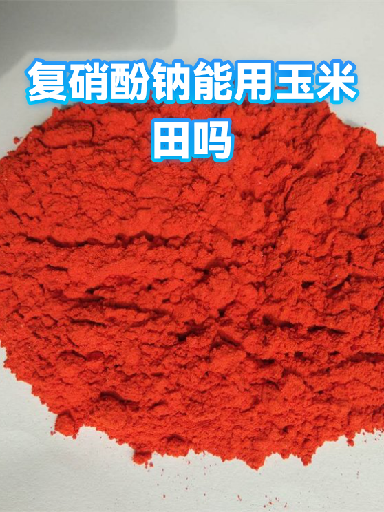 复硝酚钠能用玉米田吗（图1）
