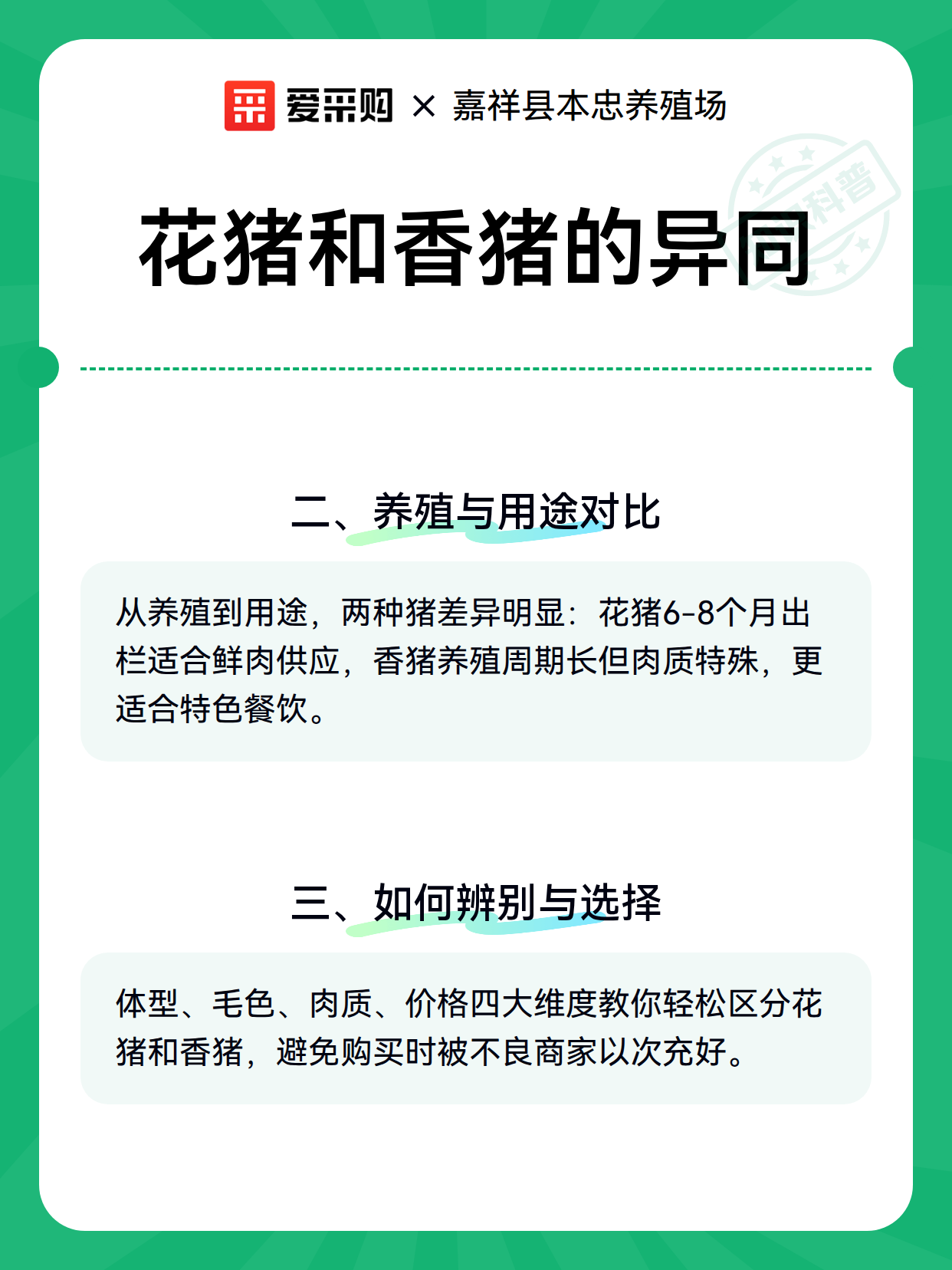 花猪和香猪的异同（图3）