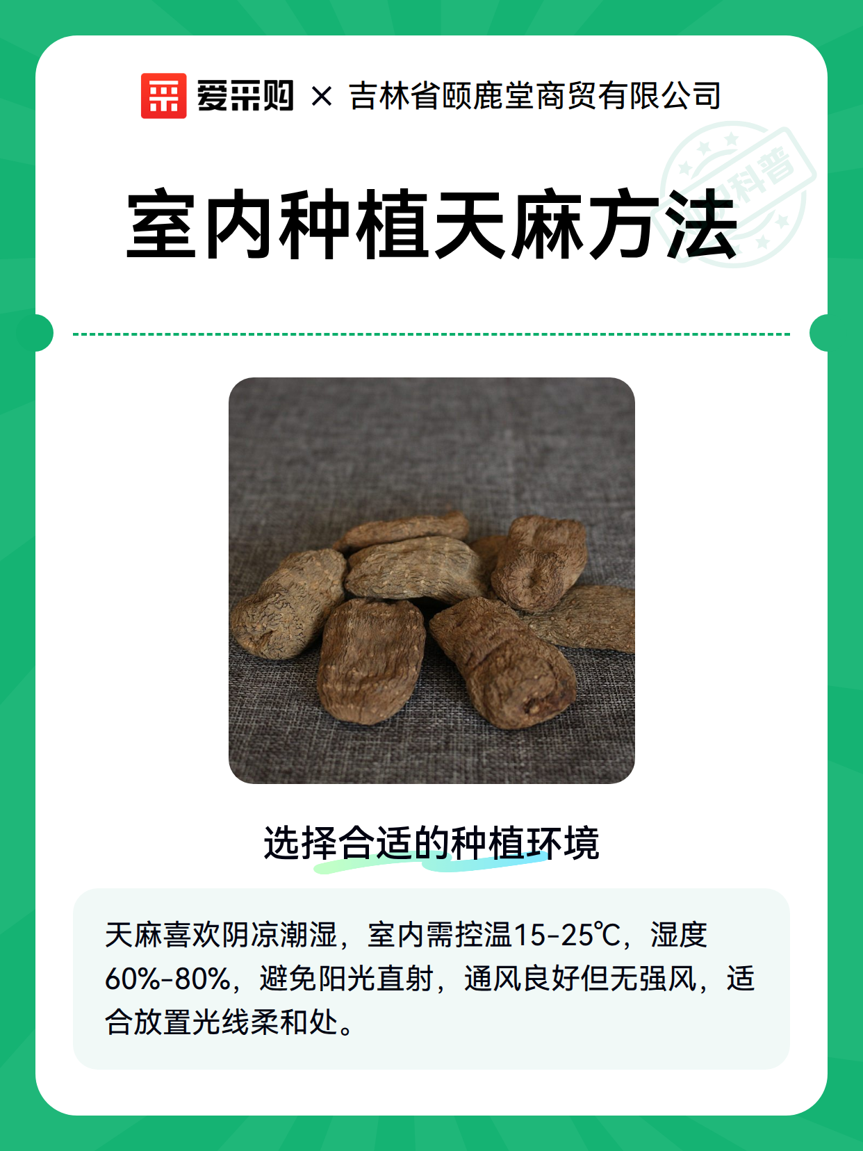 室内种植天麻方法（图2）
