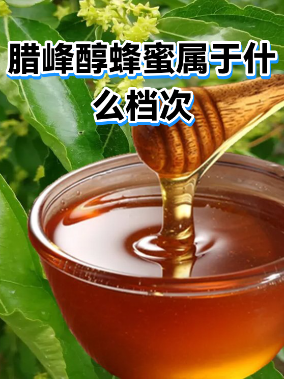 腊峰醇蜂蜜属于什么档次（图1）