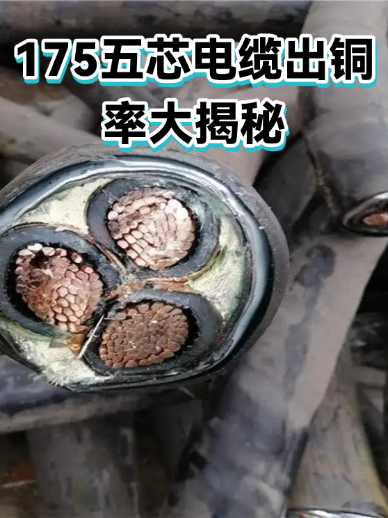 175五芯电缆出铜率大揭秘（图1）