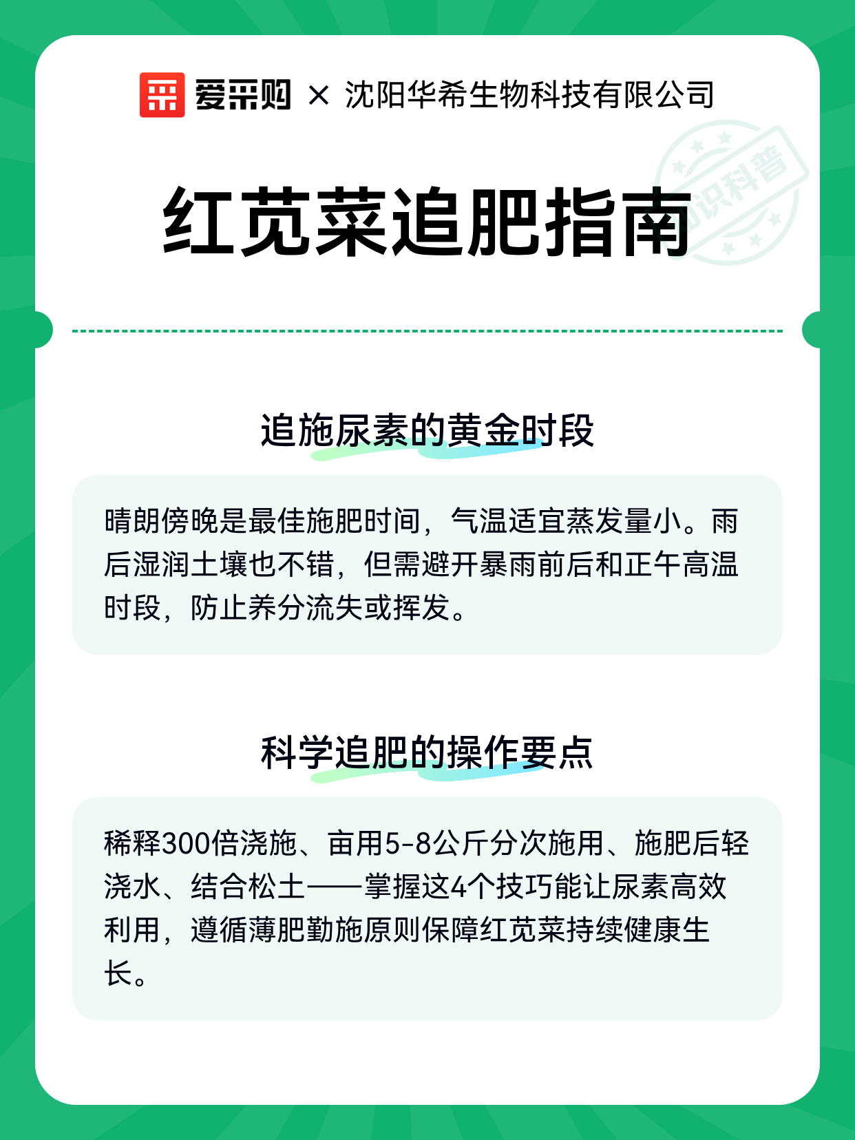 红苋菜追肥指南（图2）