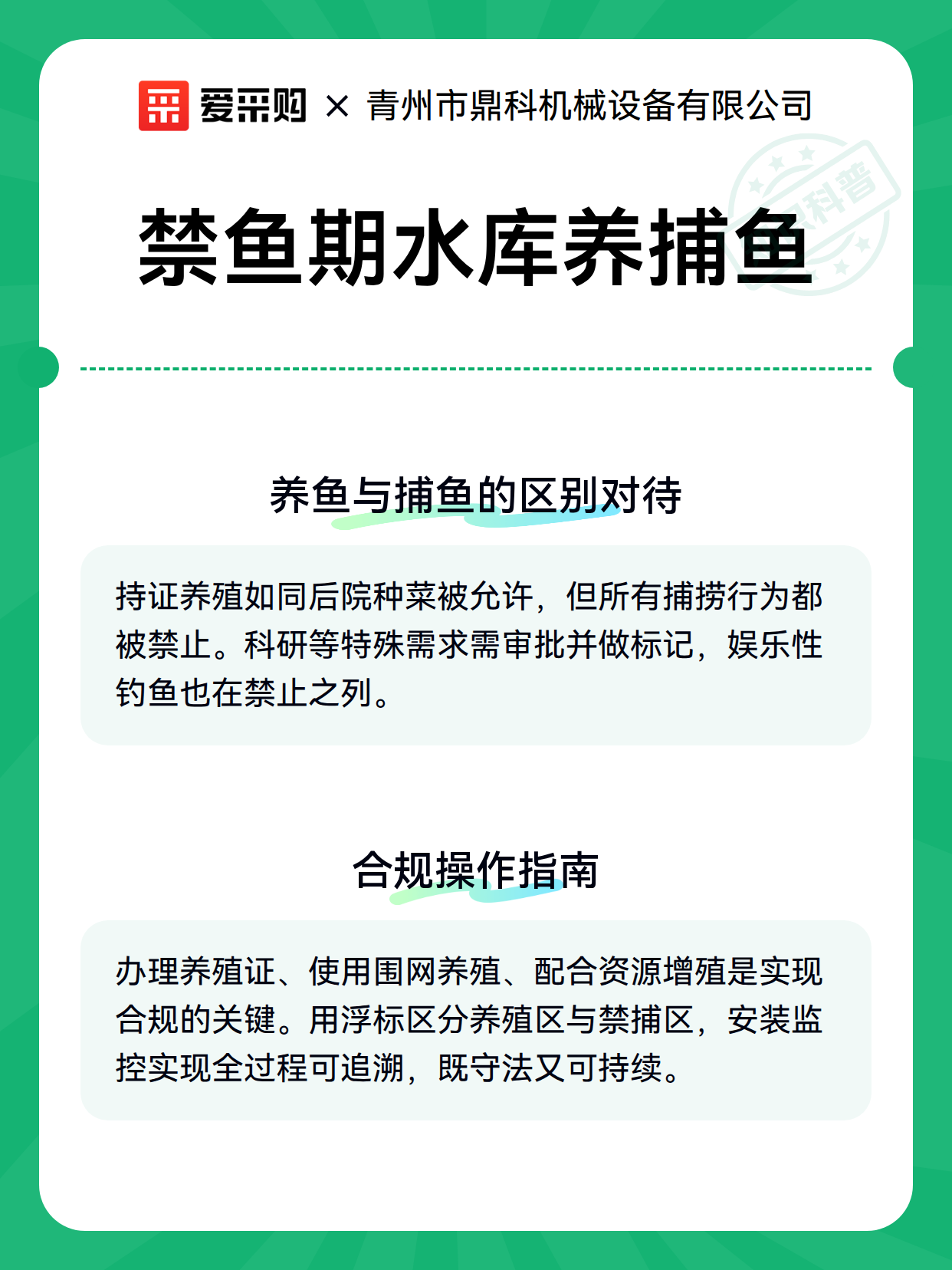 禁鱼期水库养捕鱼（图2）