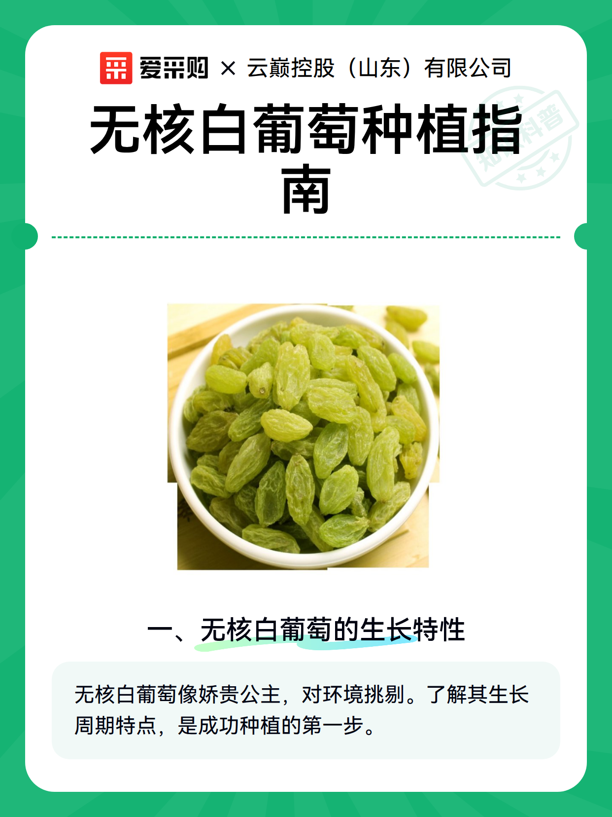 无核白葡萄种植指南（图2）