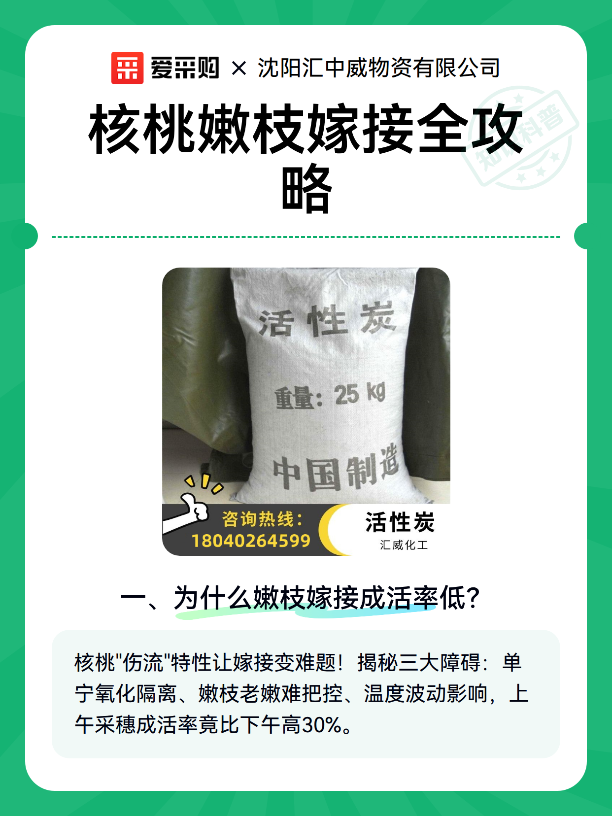 核桃嫩枝嫁接全攻略（图2）