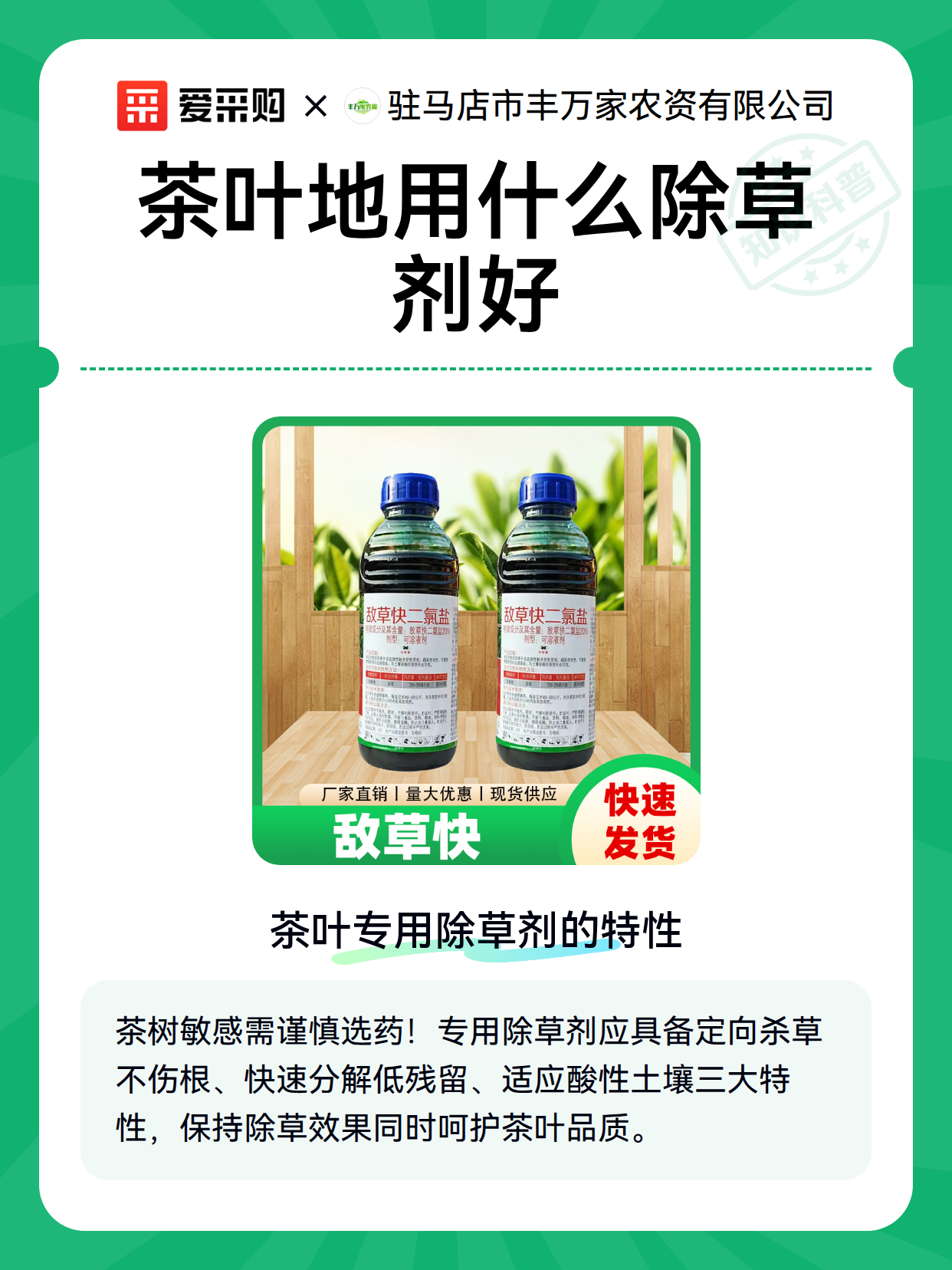 茶叶地用什么除草剂好（图2）