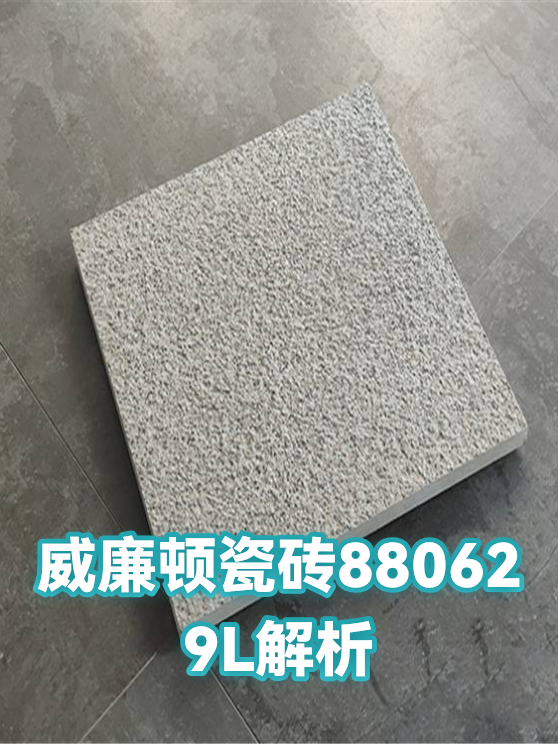 威廉顿瓷砖880629L解析（图1）