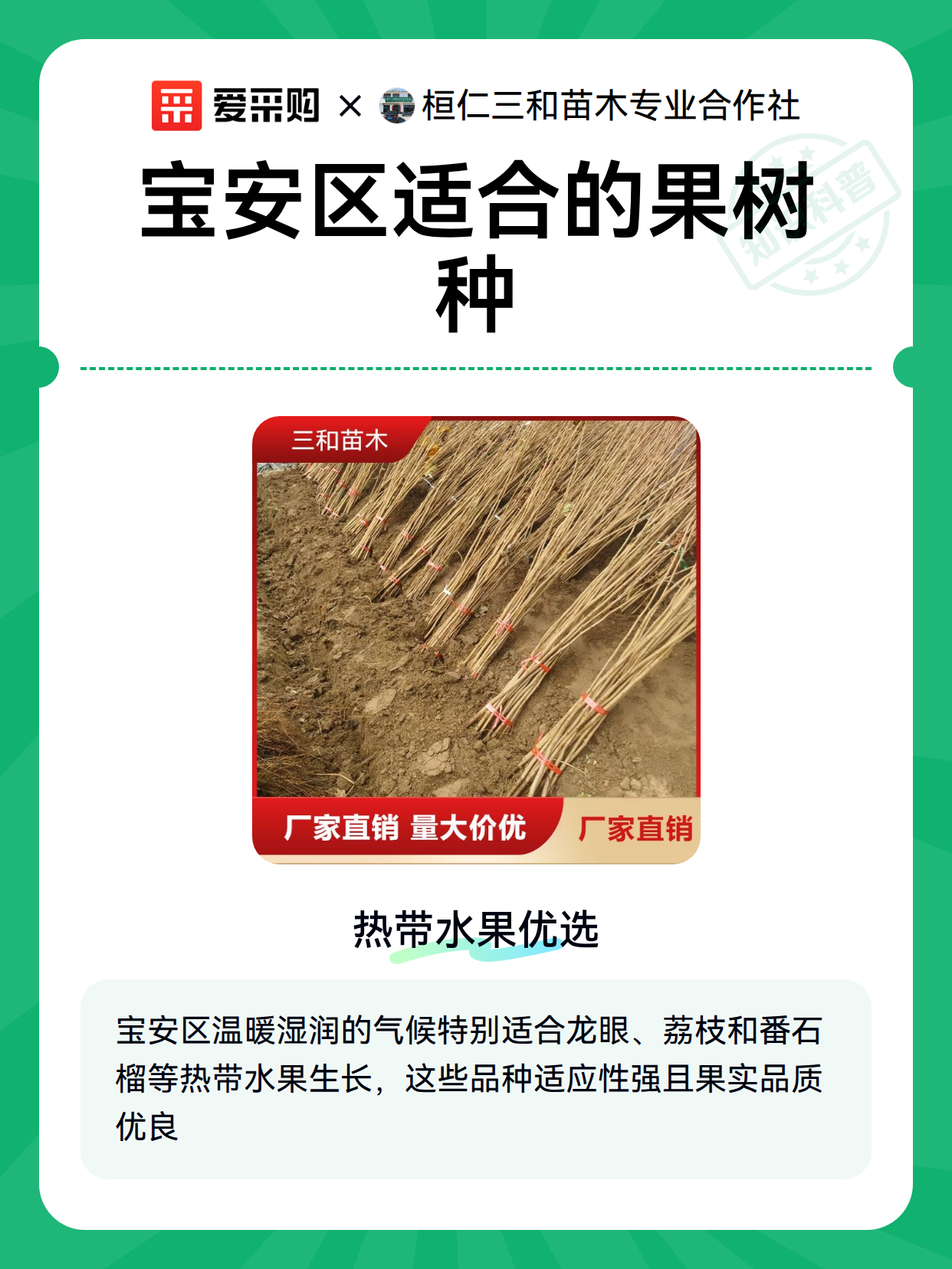 宝安区适合的果树种（图2）