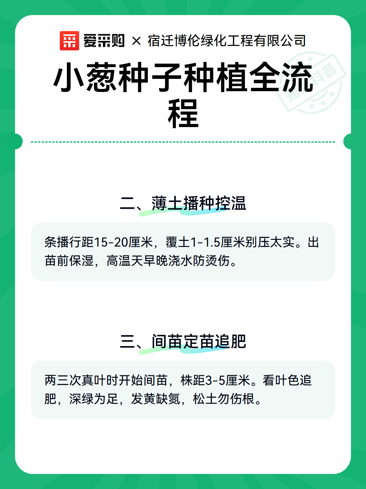 小葱种子种植全流程（图2）