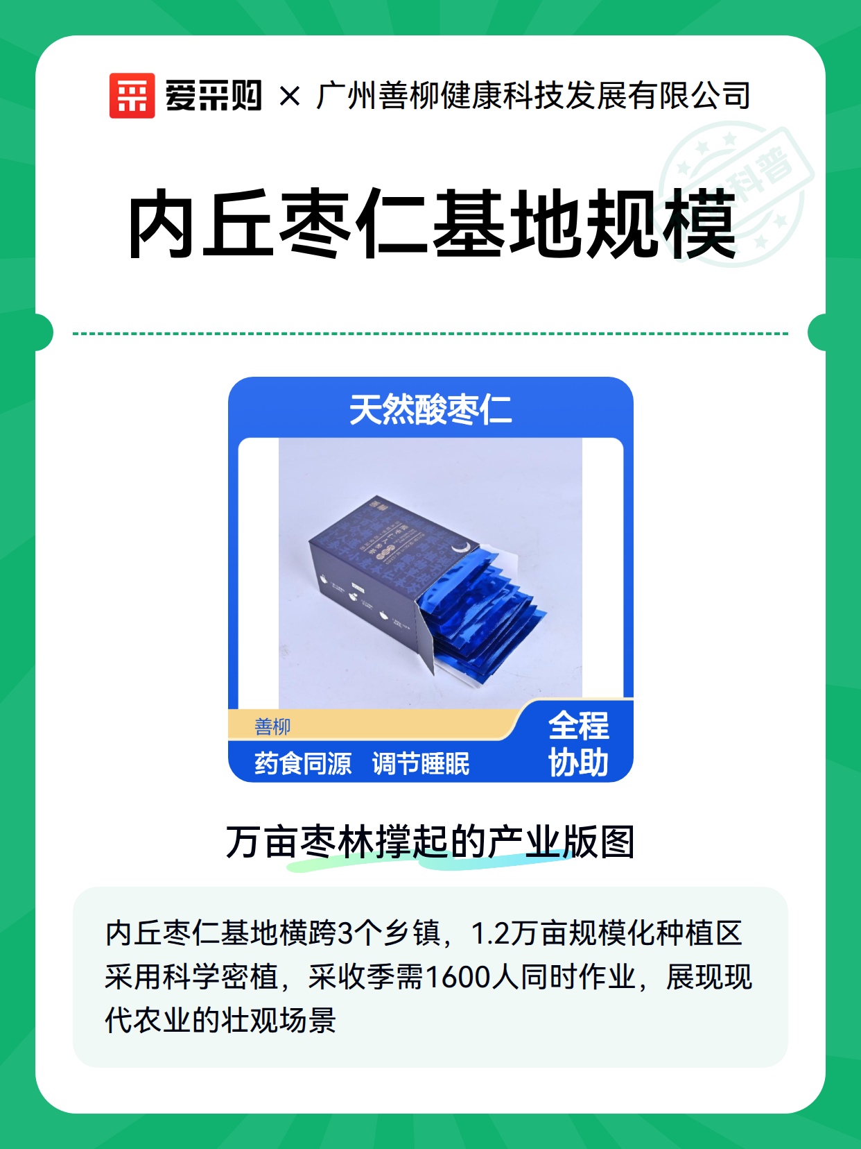 内丘枣仁基地规模（图2）