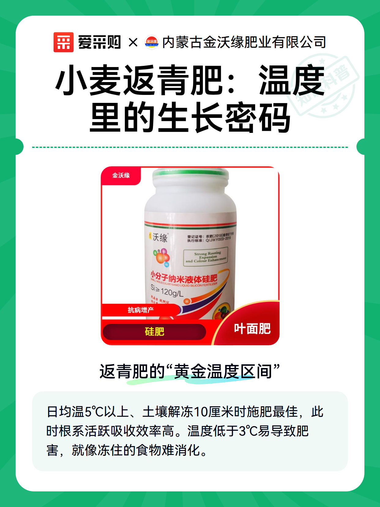 小麦返青肥：温度里的生长密码（图1）