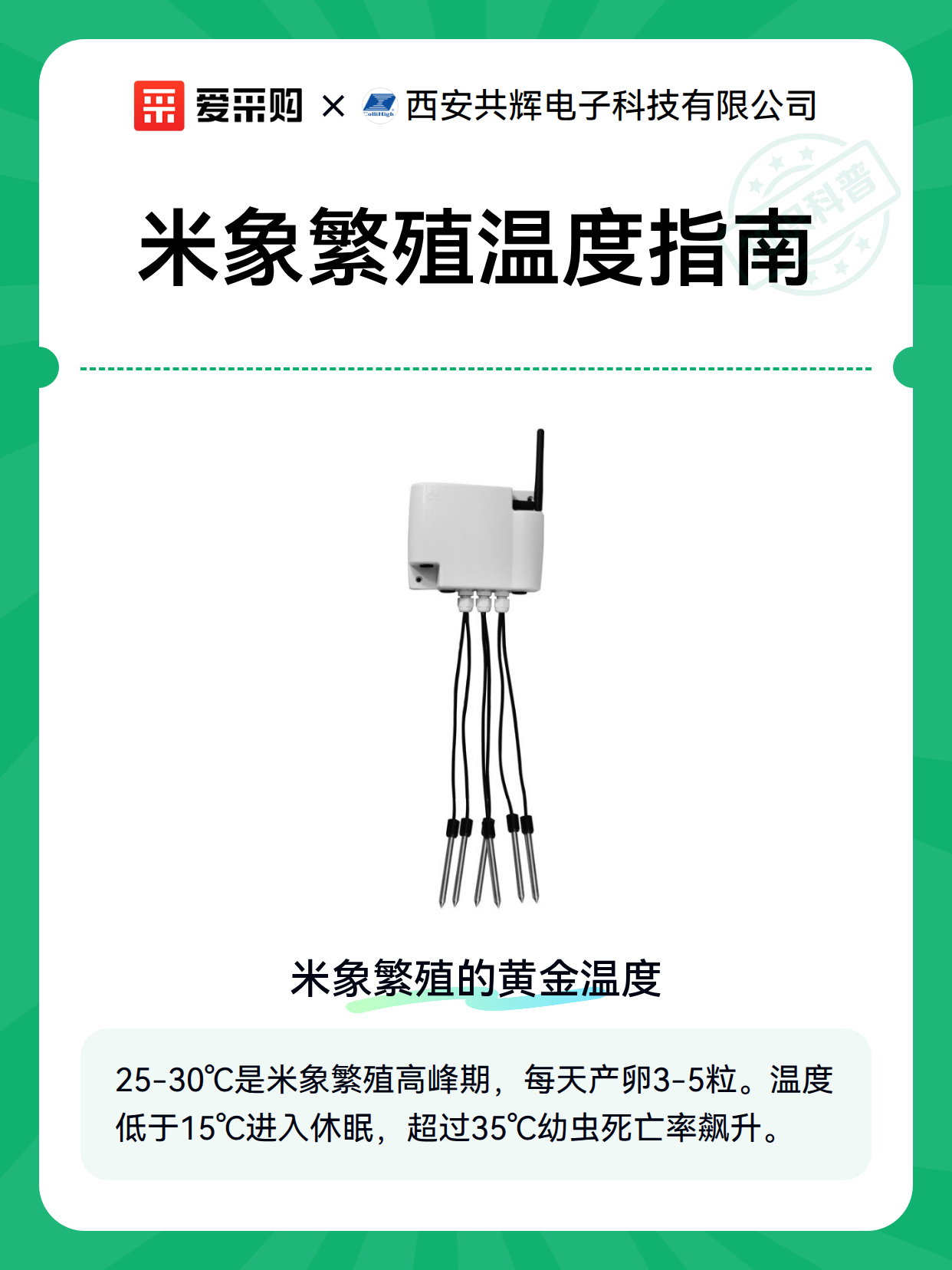 米象繁殖温度指南（图1）