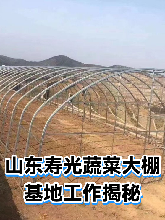 山东寿光蔬菜大棚基地工作揭秘（图1）