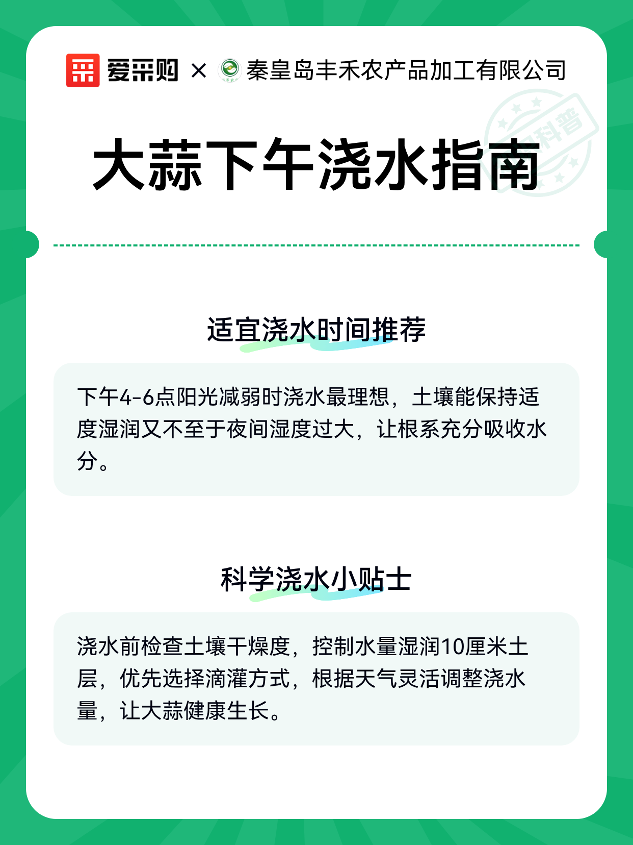 大蒜下午浇水指南（图2）