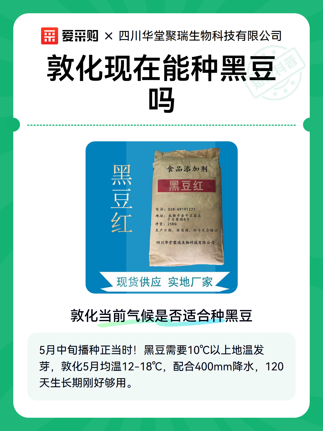敦化现在能种黑豆吗（图2）