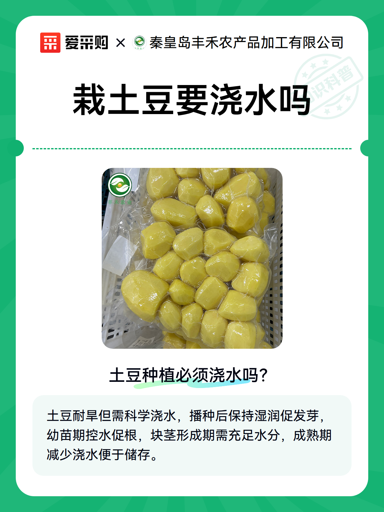 栽土豆要浇水吗（图2）