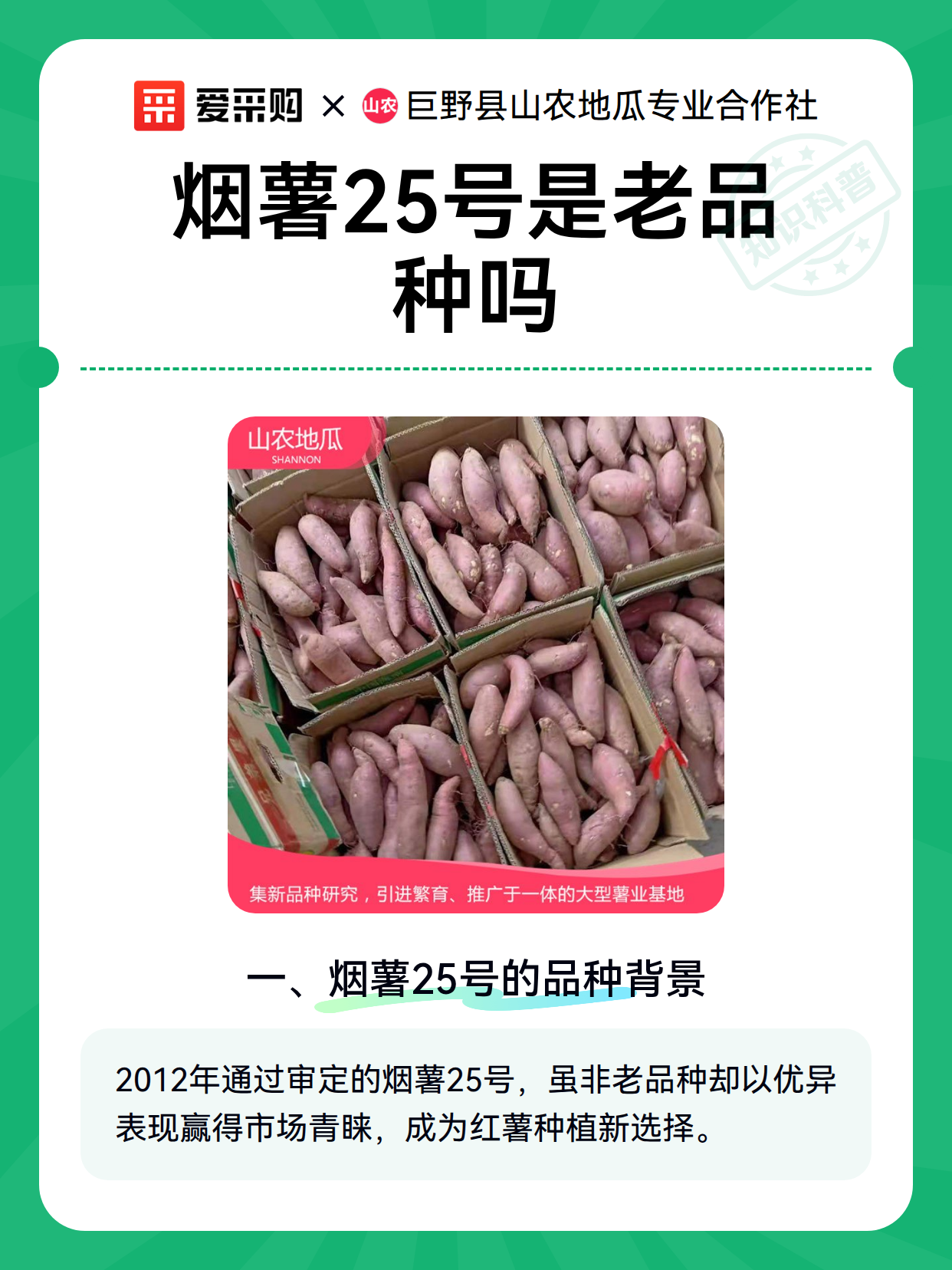 烟薯25号是老品种吗（图1）