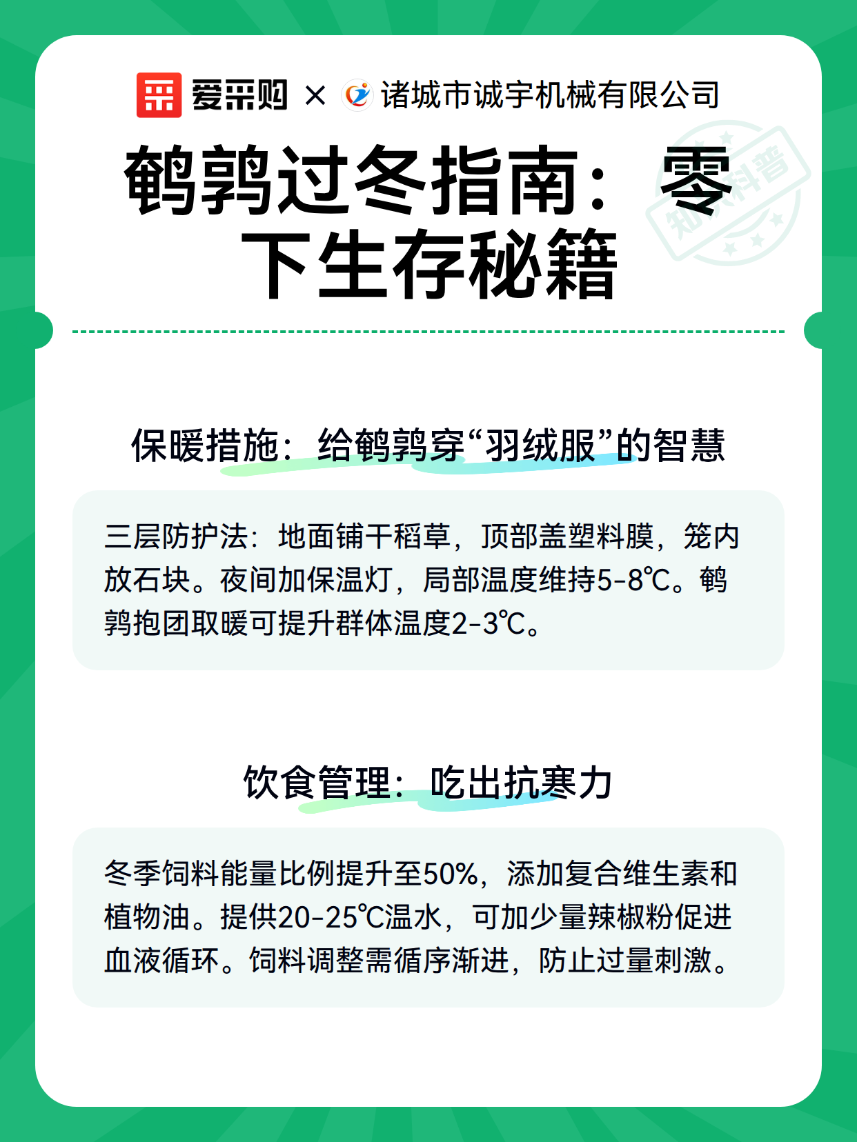 鹌鹑过冬指南：零下生存秘籍（图3）