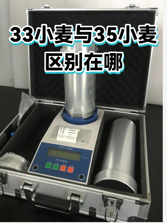 33小麦与35小麦区别在哪（图1）