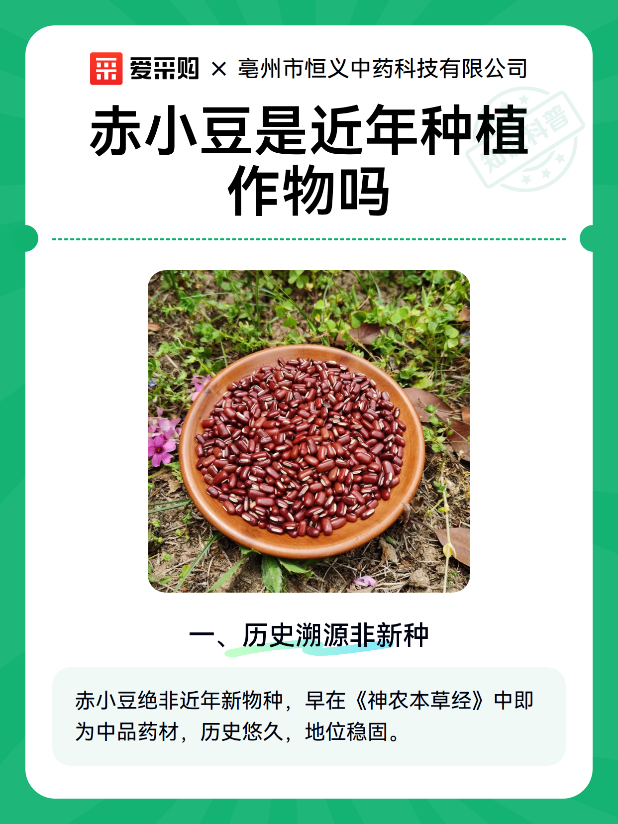 赤小豆是近年种植作物吗（图2）