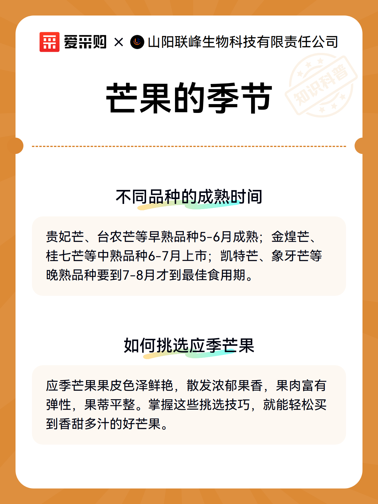 芒果的季节（图2）
