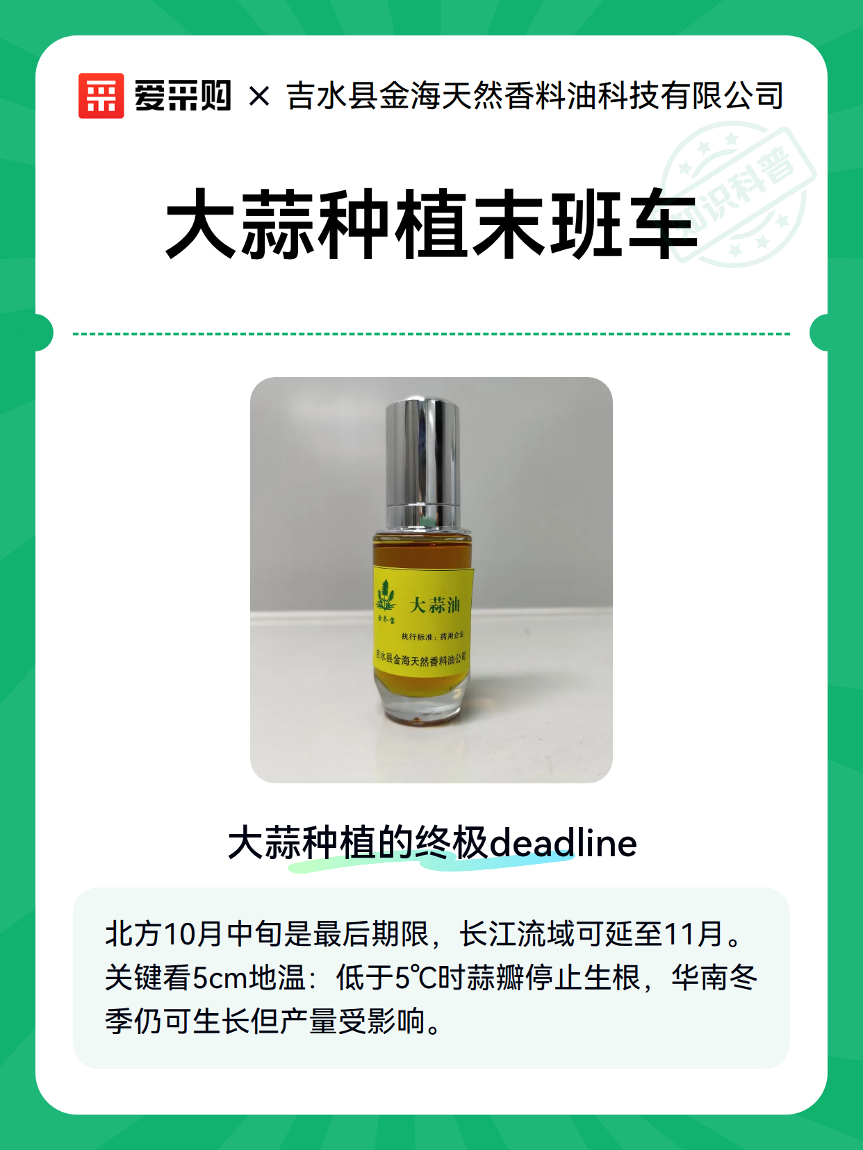 大蒜种植末班车（图2）