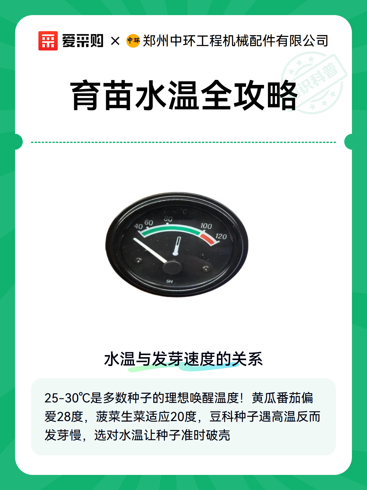 育苗水温全攻略（图1）