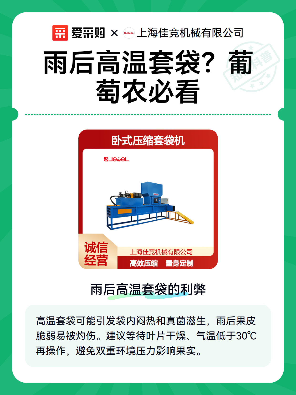 雨后高温套袋？葡萄农必看（图1）