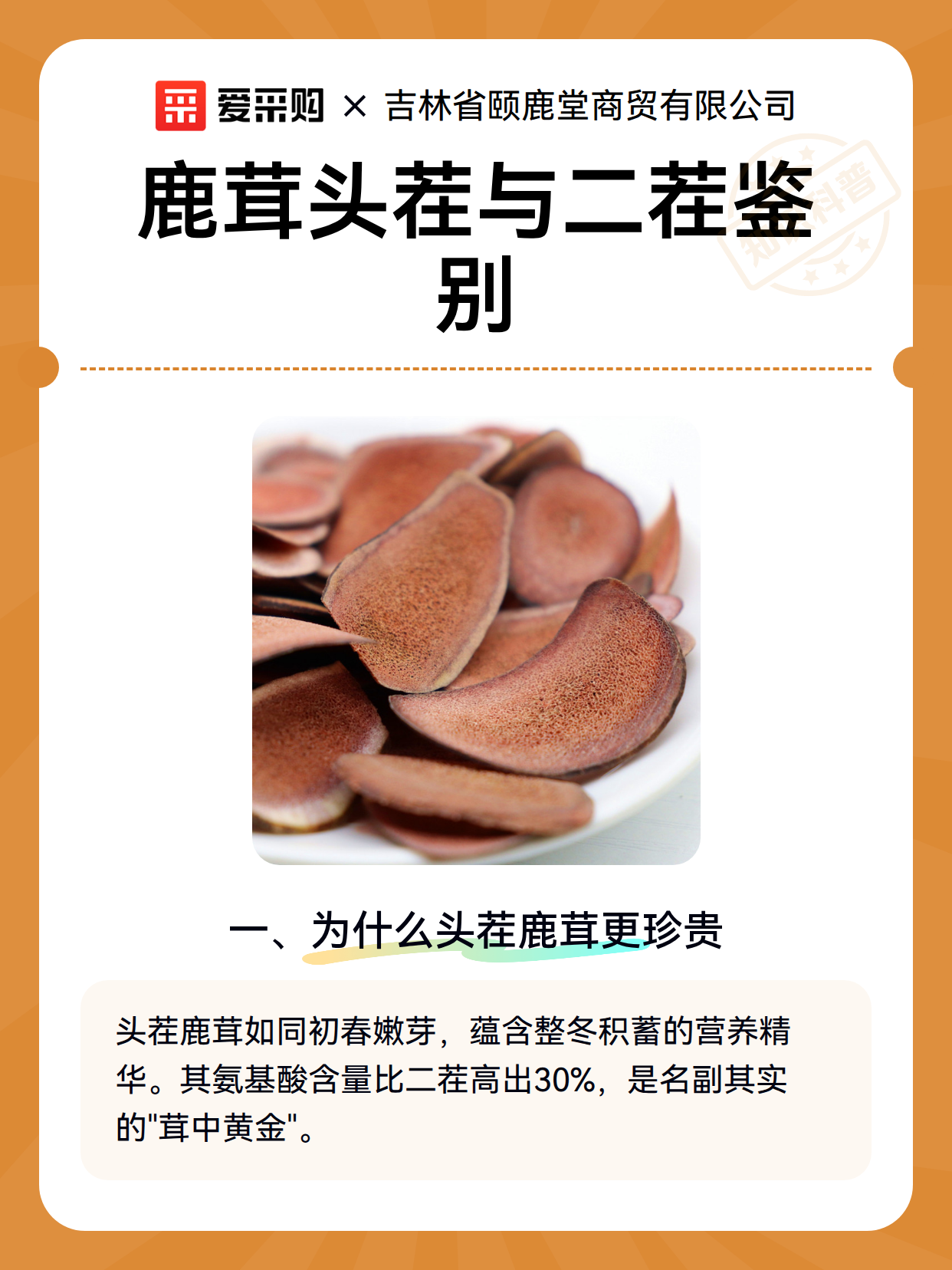 鹿茸头茬与二茬鉴别（图2）