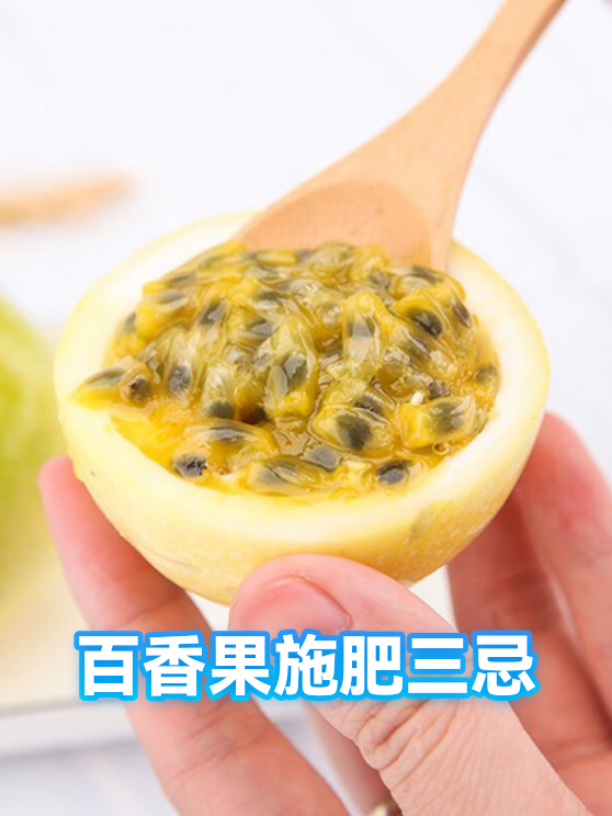 百香果施肥三忌（图1）
