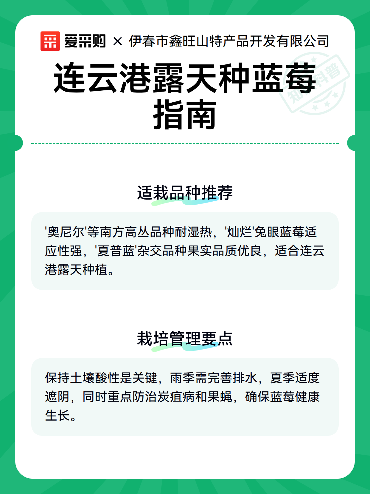 连云港露天种蓝莓指南（图3）