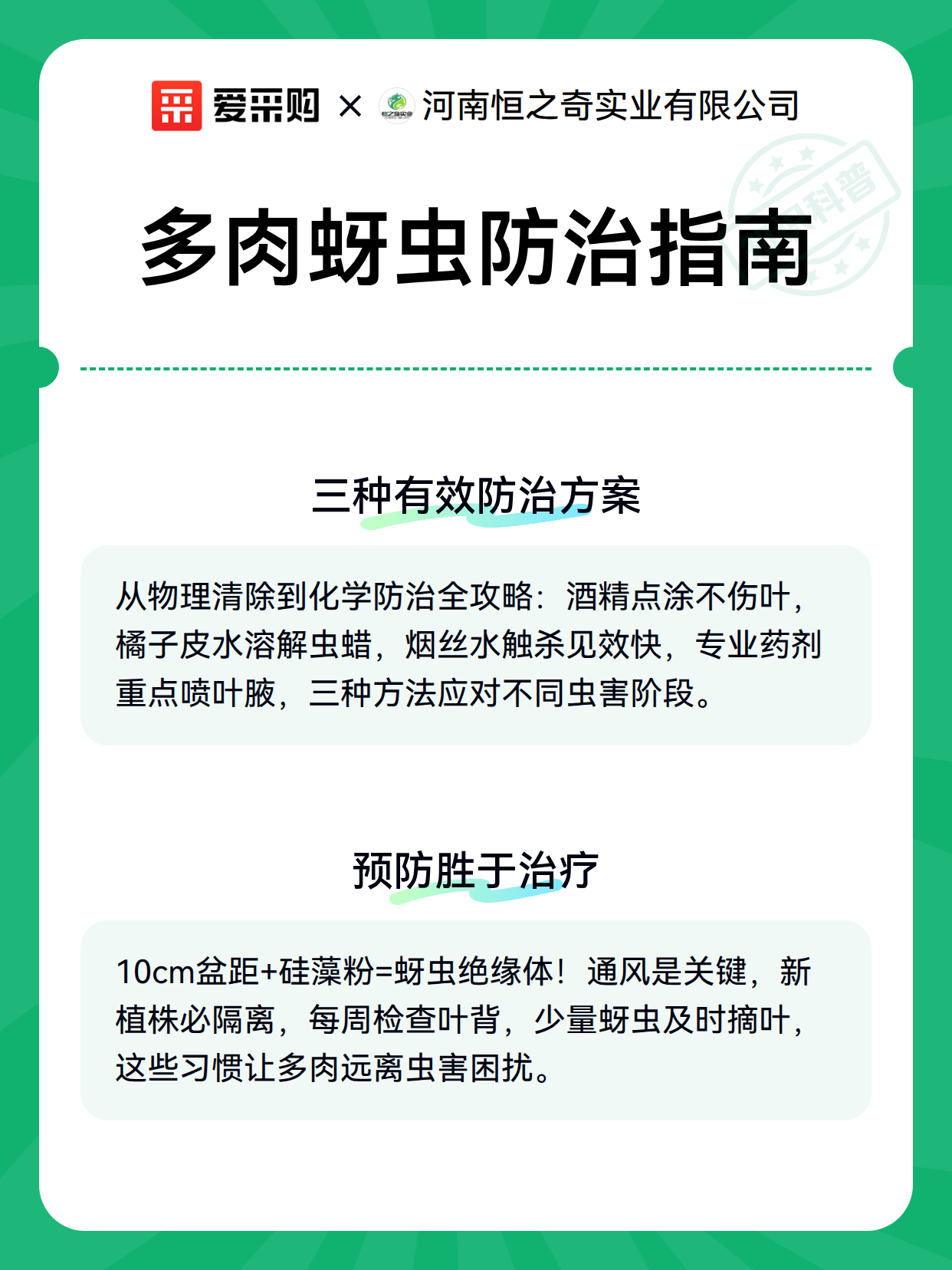 多肉蚜虫防治指南（图3）