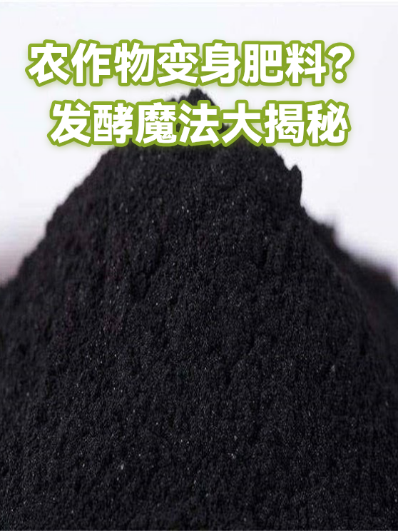 农作物变身肥料？发酵魔法大揭秘（图1）