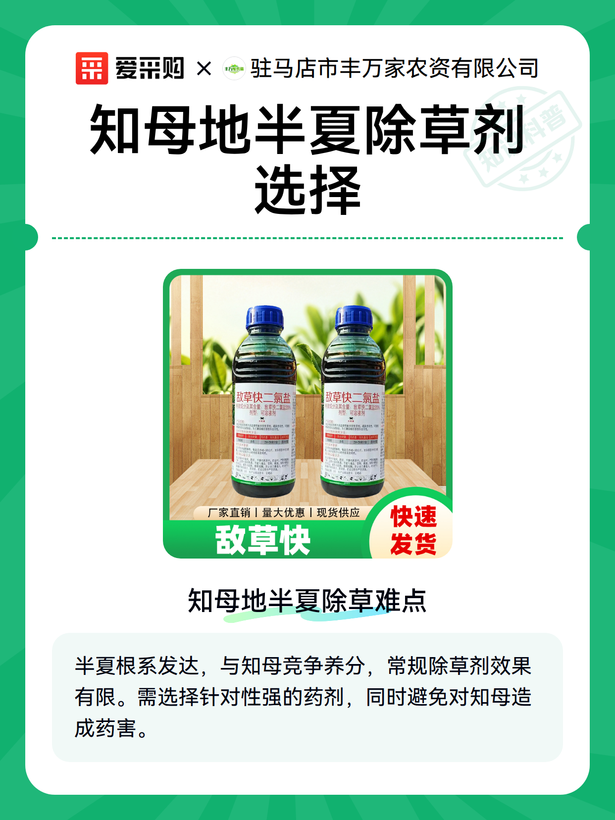 知母地半夏除草剂选择（图2）